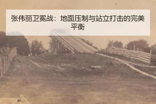 zhang-wei-li-wei-mian-zhan-di-mian-ya-zhi-yu-zhan-li-da-ji-de-wan-mei-ping-heng-2-976.jpg