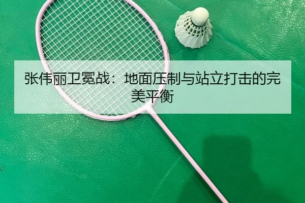 zhang-wei-li-wei-mian-zhan-di-mian-ya-zhi-yu-zhan-li-da-ji-de-wan-mei-ping-heng-3-469.jpg
