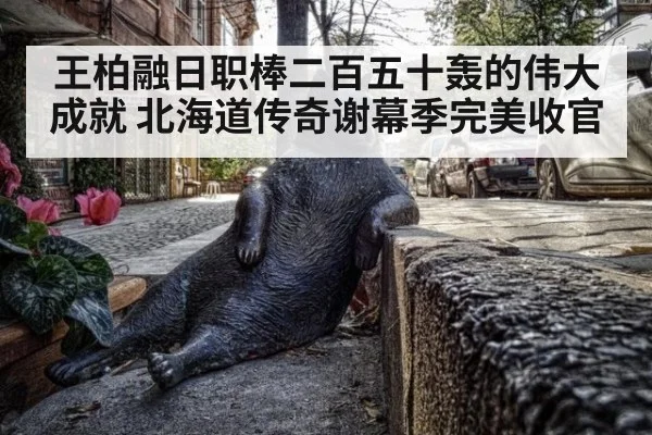 王柏融日职棒二百五十轰的伟大成就 北海道传奇谢幕季完美收官